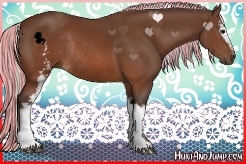Horse Color:Painted White Spotted Silver Brown Rabicano 