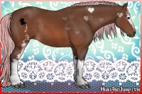 Horse Color:Painted White Spotted Silver Brown Rabicano