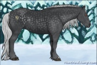 Horse Color:Silver Black Chinchilla Rabicano 