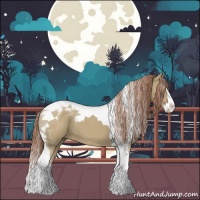 Horse Color:Liver Red Dun Splash Tobiano