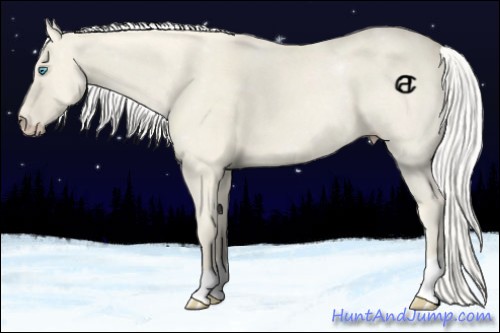 Horse Color:Silver Smoky Creme Dun 