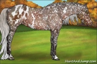 Horse Color:White Spotted Silver Brown Snowflake Varnish 