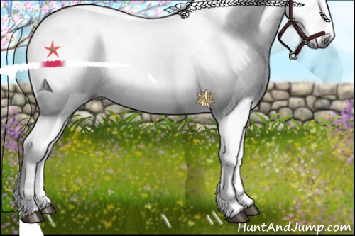 Horse Color:White Spotted Red Onyx Chinchilla Rabicano