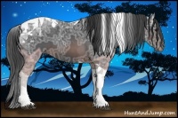 Horse Color:Brown Ice Tobiano