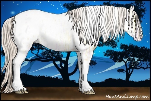 Horse Color:Silver Classic Champagne Ice Dun Tobiano Appaloosa 
