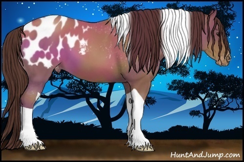 Horse Color:Classic Champagne Tobiano Appaloosa 