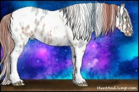 Horse Color:Gold Champagne Dun Tobiano Appaloosa  and Classic Champagne Dun Tobiano Appaloosa 