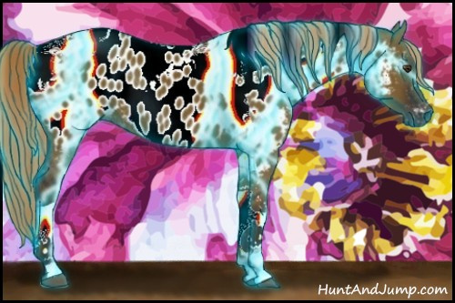 Horse Color:Gray Thunderstruck Liver Red Dun Tobiano Appaloosa Rabicano 