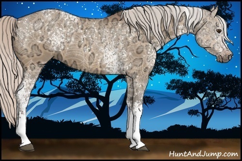 Horse Color:White Spotted Silver Bay Ice Dun Rabicano 