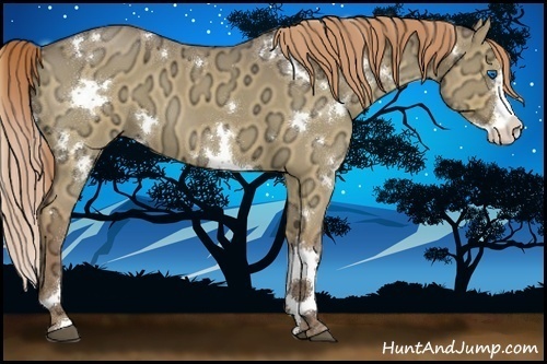 Horse Color:White Spotted Red Dun Ice Roan Splash 