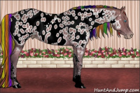 Horse Color:Gray Painted Perlino Tobiano Appaloosa Rabicano