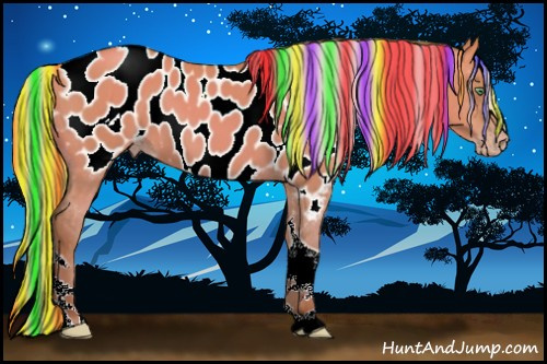 Horse Color:Gray Painted Silver Sable Cream Champagne Dun Tobiano Appaloosa Rabicano 