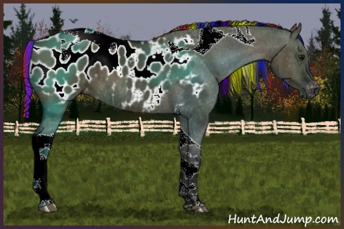 Horse Color:Gray Painted Smoky Grullo Tobiano Appaloosa Rabicano