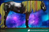 Horse Color:Painted White Spotted Midnight Liver Chestnut Rabicano 