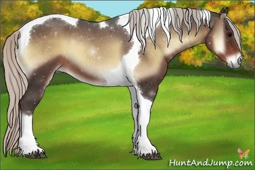 Horse Color:Silver Blue Onyx Tobiano