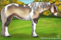 Horse Color:Silver Blue Onyx Tobiano