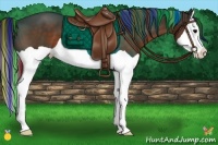 Horse Color:Painted Brown Splash