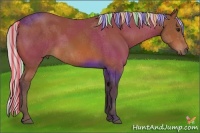 Horse Color:Painted Silver Bay 