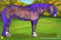 Horse Color:Watercolor Blue Onyx Ice 