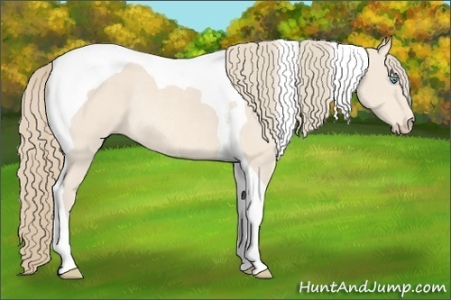 Horse Color:Perlino Tobiano Rabicano