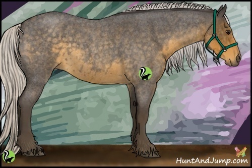 Horse Color:Silver Smoky Blue Roan