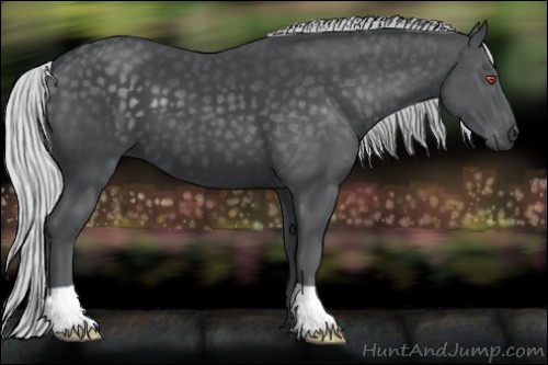 Horse Color:Silver Black Chinchilla 