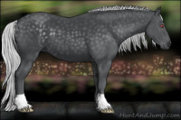 Horse Color:Silver Black Chinchilla