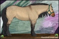 Horse Color:Brown Dun 