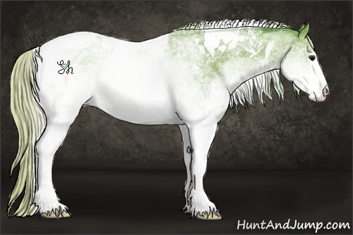 Horse Color:Watercolor White Spotted Silver Bay Tobiano 