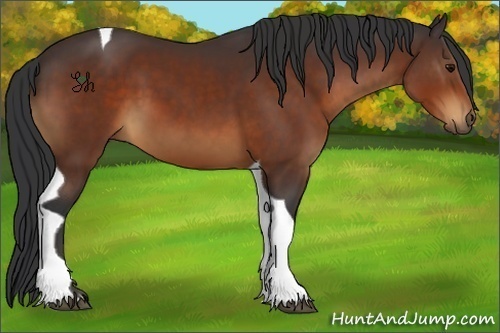Horse Color:Bay Tobiano 