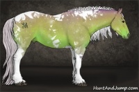 Horse Color:Watercolor Silver Bay Tobiano 