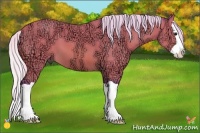 Horse Color:Watercolor Silver Bay Ice Splash