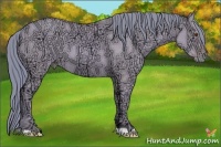 Horse Color:Watercolor Classic Champagne Ice Dun 