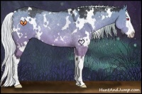 Horse Color:White Spotted Silver Grullo Chinchilla Sabino Splash