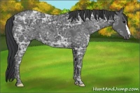 Horse Color:Black Ice 