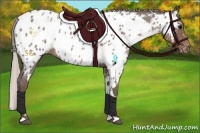 Horse Color:White Spotted Silver Blue Roan Appaloosa