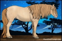 Horse Color:Gold Champagne Roan 