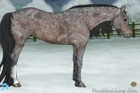 Horse Color:Brown Ice 