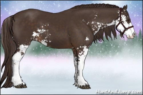 Horse Color:Liver Chestnut Sabino 