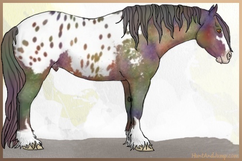 Horse Color:Nacre Brown Mushroom Sabino Blanket Rabicano