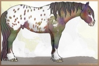 Horse Color:Nacre Brown Mushroom Sabino Blanket Rabicano 
