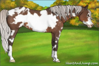 Horse Color:White Spotted Silver Brown Roan Frame Varnish