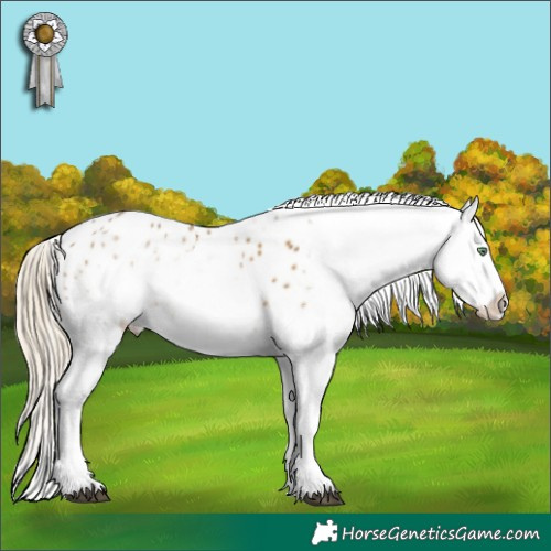 Horse Color:White Spotted Chocolate Palomino Mushroom Sabino Splash Appaloosa 
