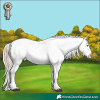 Horse Color:White Spotted Chocolate Palomino Mushroom Sabino Splash Appaloosa 