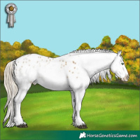 Horse Color:White Spotted Chocolate Palomino Mushroom Sabino Splash Blanket