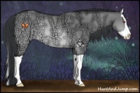 Horse Color:Brown Chinchilla Ice Dun Splash Rabicano 