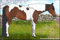Horse Color:Bay Tobiano 
