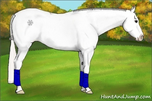 Horse Color:Silver Black Sabino Splash Snowcap 