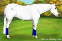 Horse Color:Silver Black Sabino Splash Snowcap 