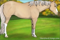 Horse Color:Silver Sable Champagne Varnish